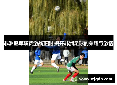 非洲冠军联赛激战正酣 揭开非洲足球的荣耀与激情