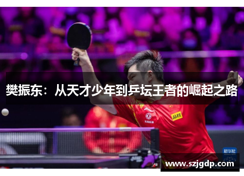 樊振东：从天才少年到乒坛王者的崛起之路